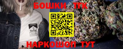 гидра Камышлов