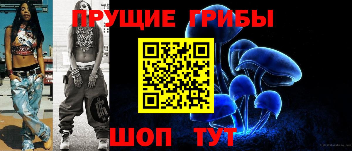 Псилоцибиновые грибы прущие грибы Кольчугино